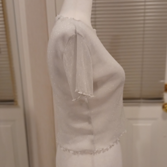 $4 Add-on Sheer Sparkly Cover-up Top - Size Small - Picture 3 of 8